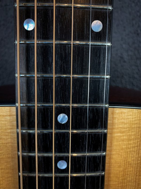 Eastman E1 OM - Image 5