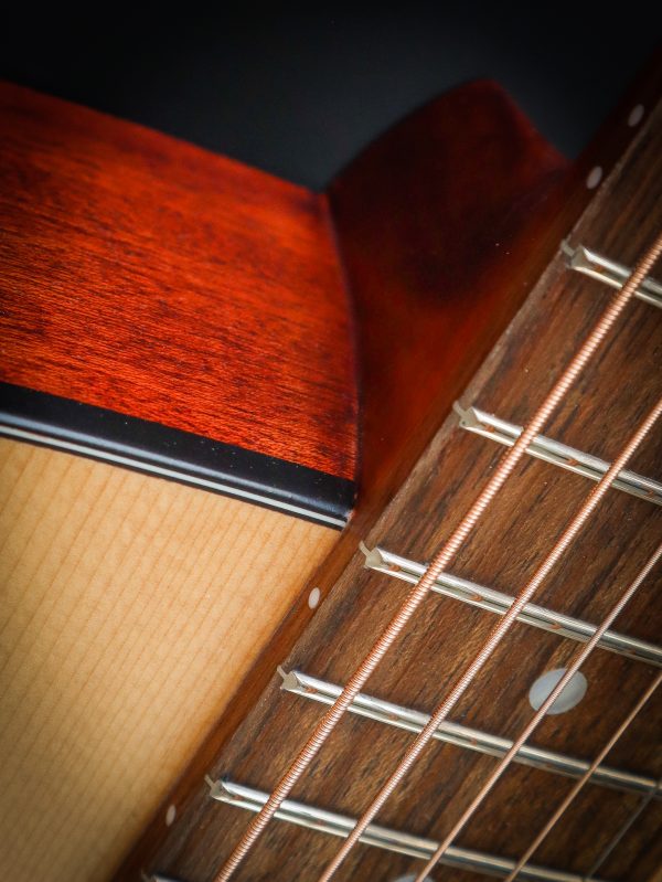 Eastman PCH1 OM - Image 6