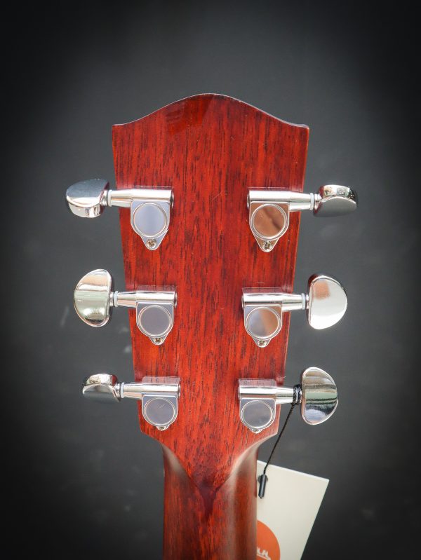 Eastman PCH1 GACE - Image 13