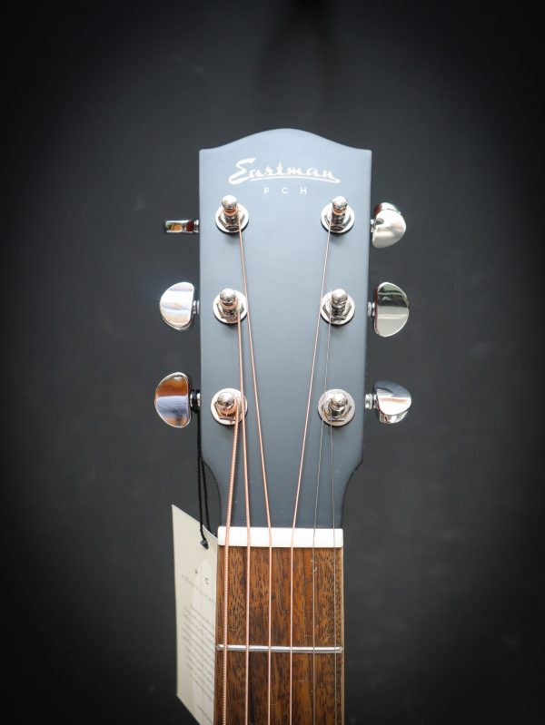 Eastman PCH1 GACE - Image 12