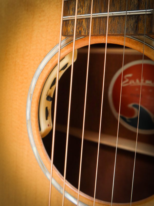 Eastman PCH1 GACE - Image 11