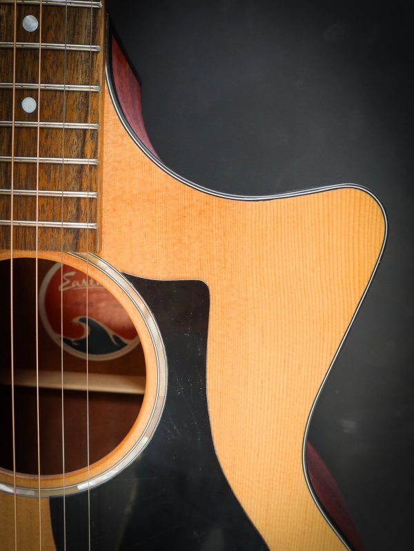 Eastman PCH1 GACE - Image 10