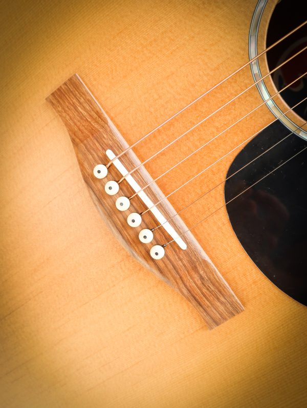 Eastman PCH1 GACE - Image 8