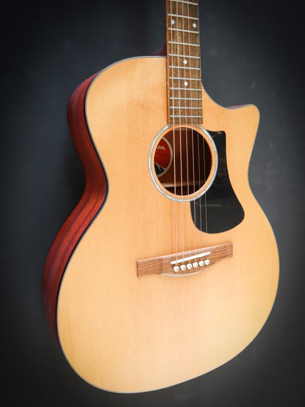 Eastman PCH1 GACE - Image 4