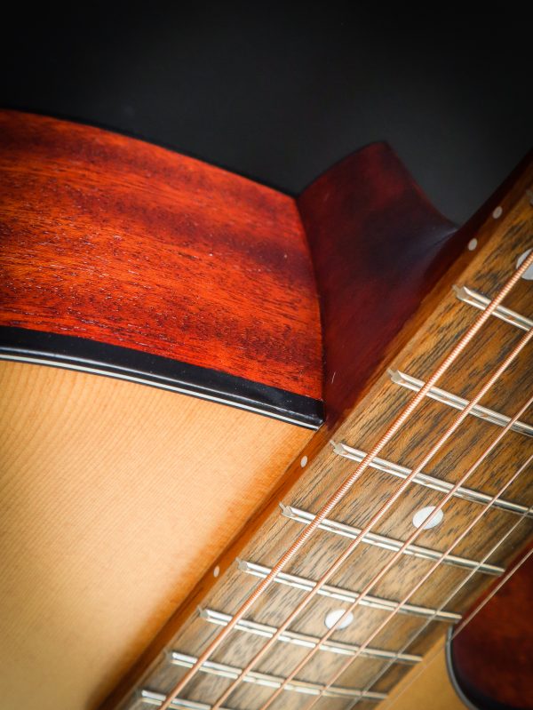 Eastman PCH1 GACE - Image 7