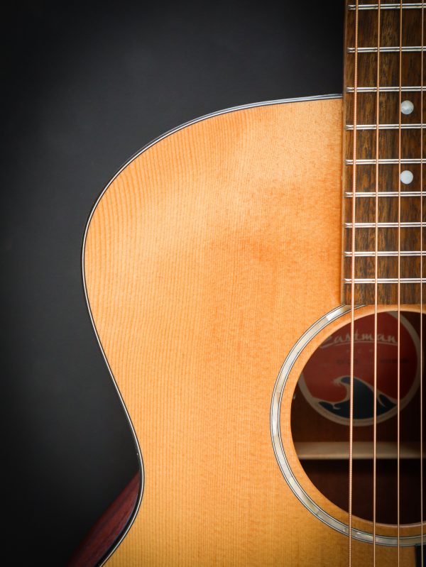 Eastman PCH1 GACE - Image 6