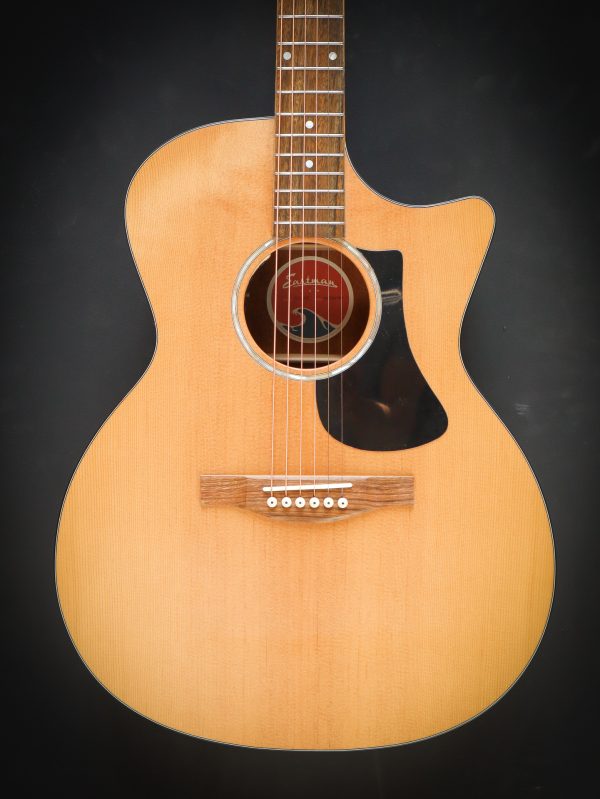 Eastman PCH1 GACE - Image 3