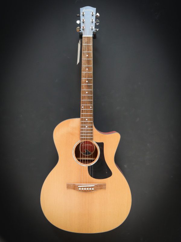 Eastman PCH1 GACE - Image 2