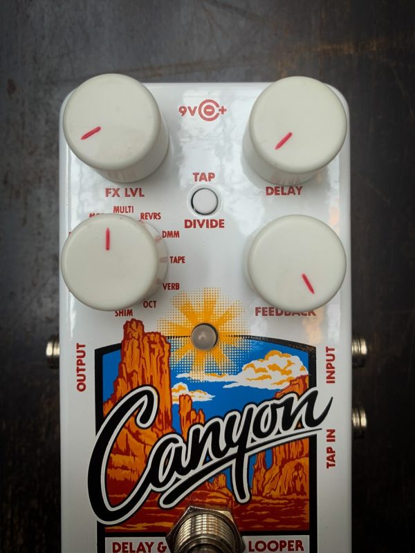 Electro-Harmonix Canyon - Image 2