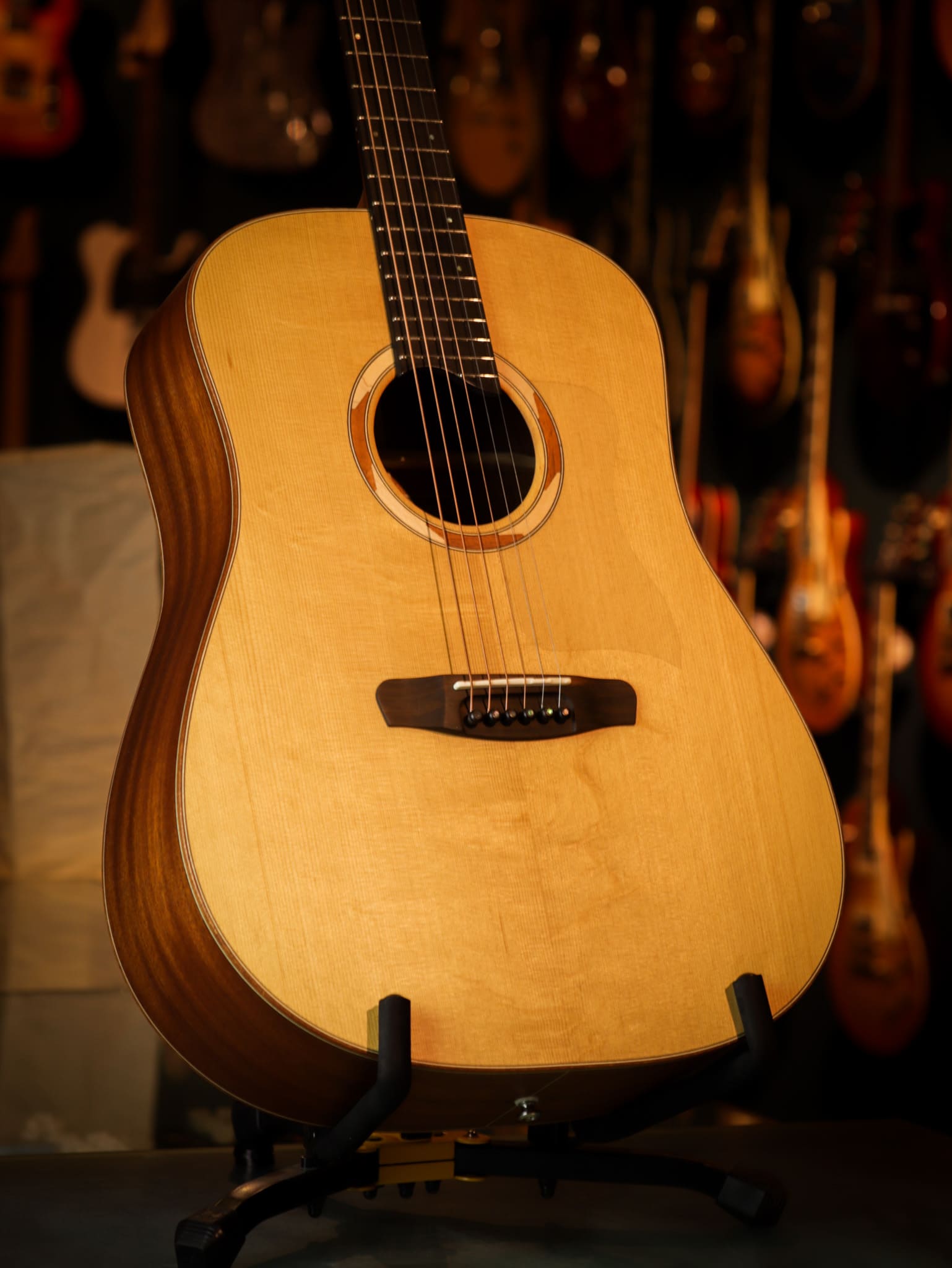 Dowina dreadnought discount
