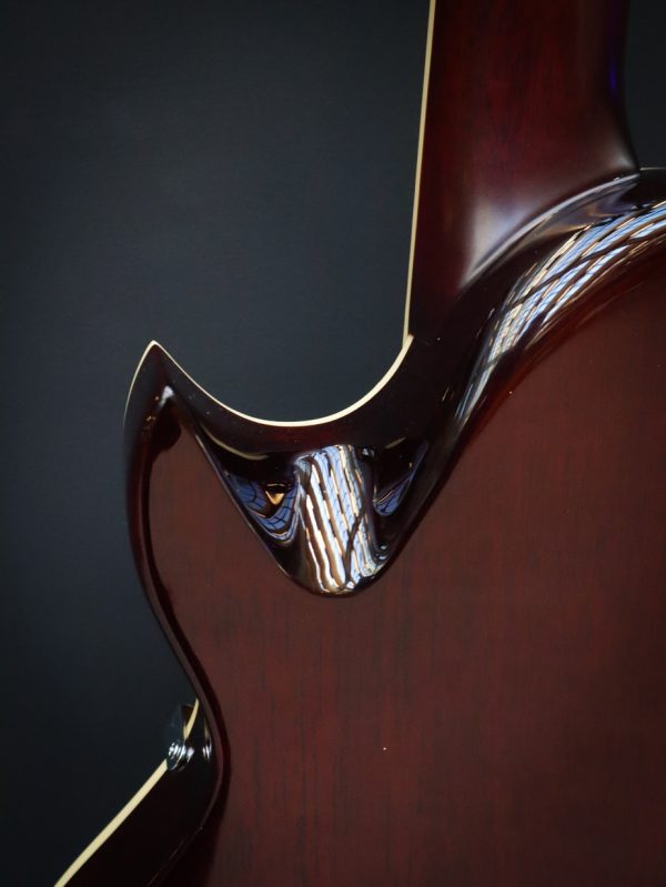 Sire Larry Carlton L7 Gold Top - Image 12