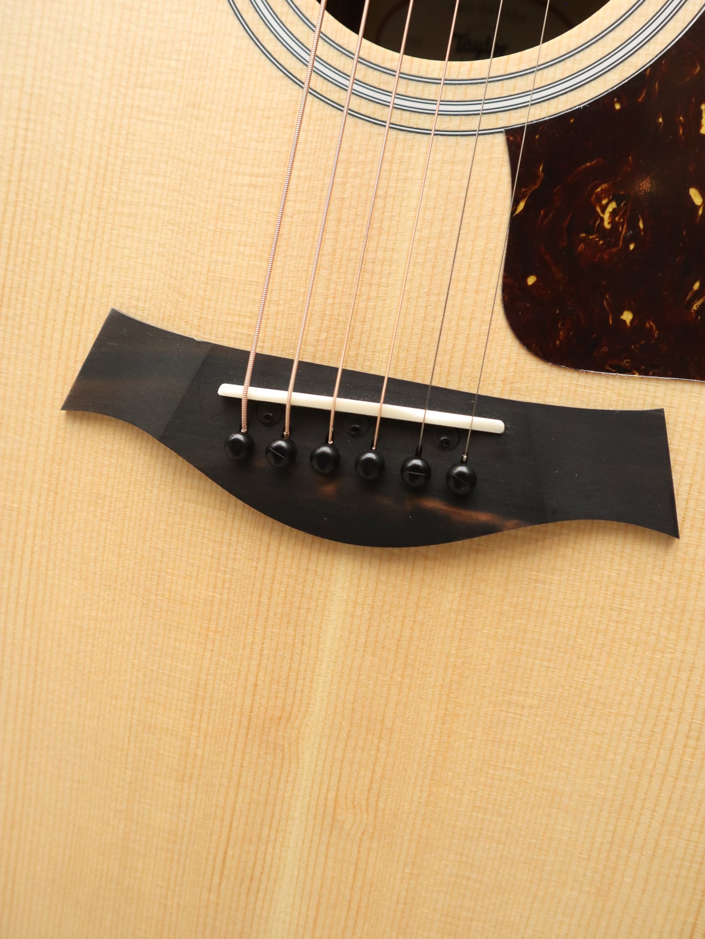 Taylor 214 CE - Kauffmann
