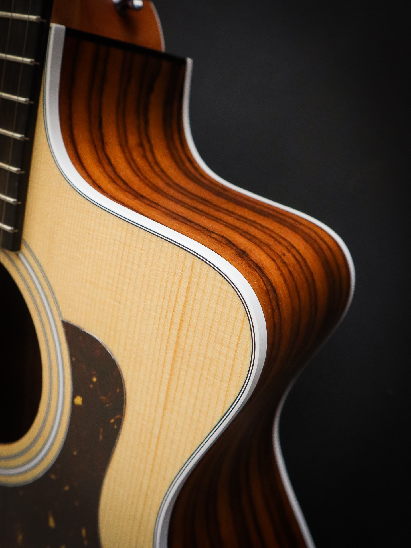 Taylor 214 CE - Kauffmann