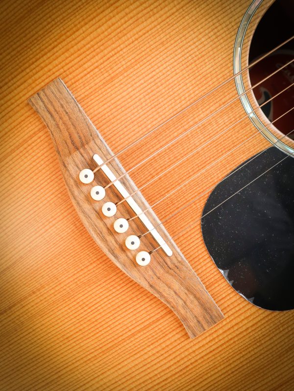 Eastman PCH 1-D - Image 6
