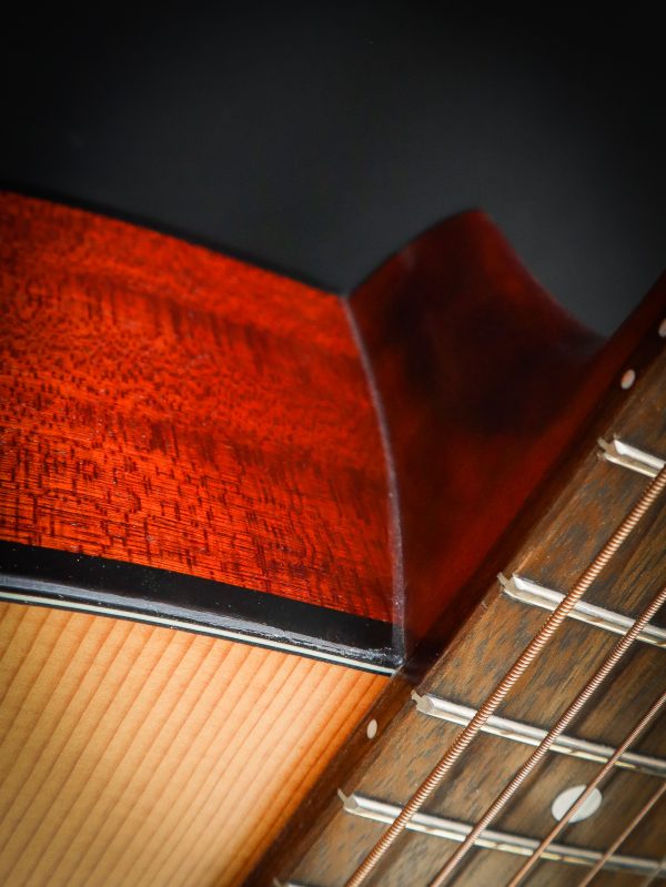 Eastman PCH 1-D - Image 9