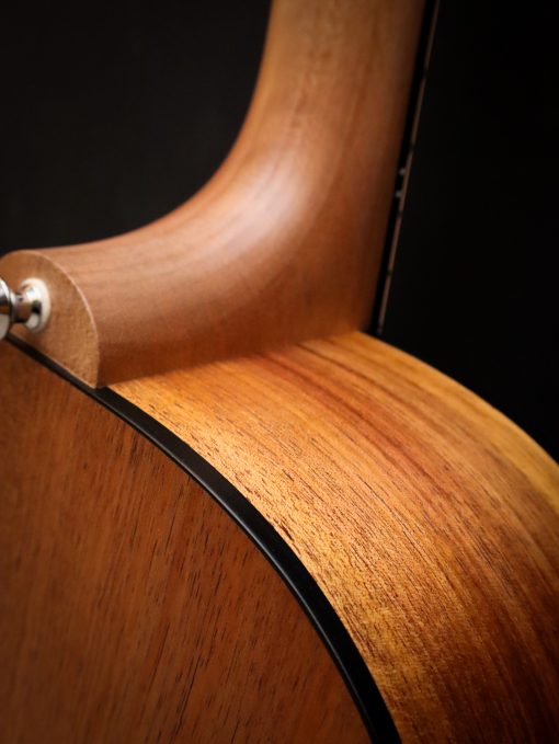 Maton Blackwood Series 70C - Image 17