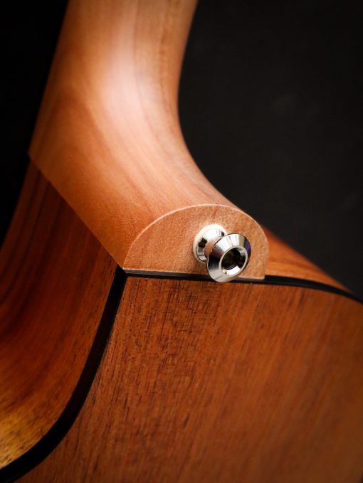 Maton Blackwood Series 70C - Image 16