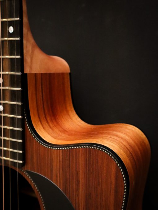 Maton Blackwood Series 70C - Image 8