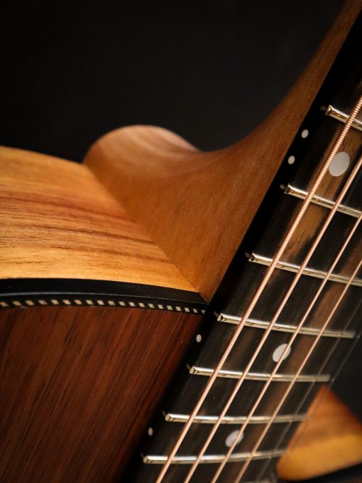 Maton Blackwood Series 70C - Image 5