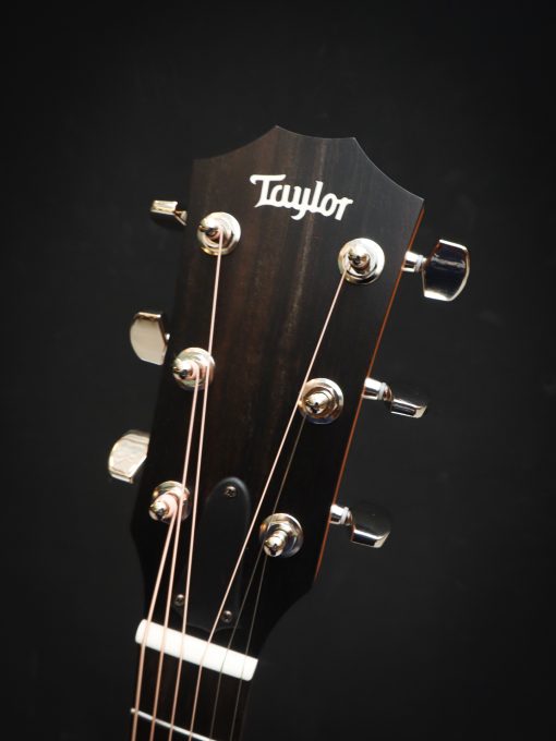 Taylor 214ce Plus - Image 14