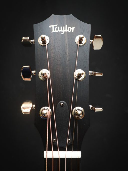 Taylor 214ce Plus - Image 13