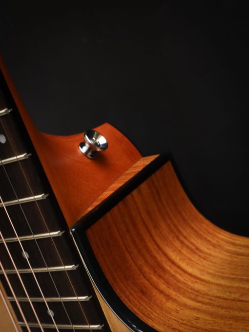 Taylor 214ce Plus - Image 10