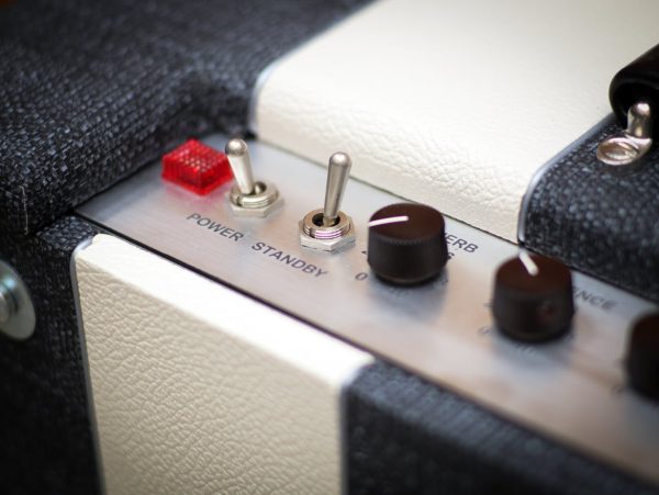 Kauffmann Silverado Combo Amp - Image 6