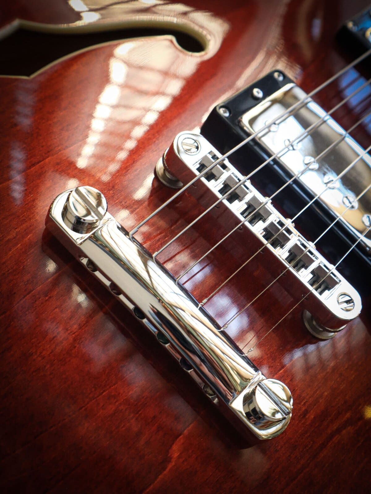 Eastman T386 Classic - Image 6