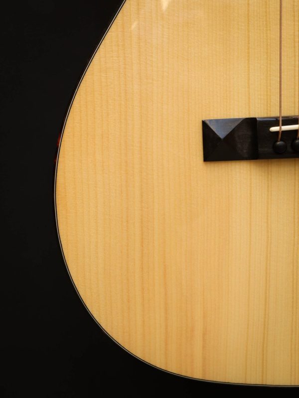 Eastman E10P - Image 6