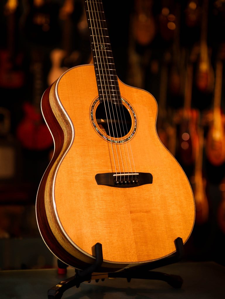 Dowina hybrid guitar store
