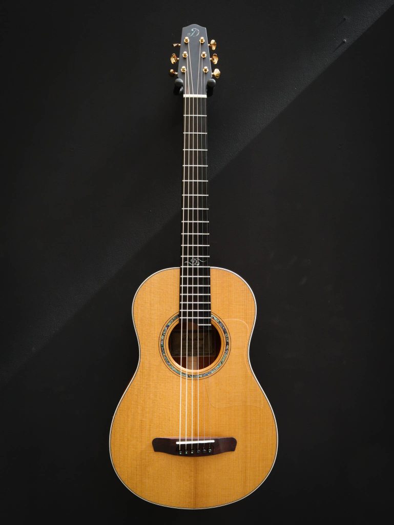 Dowina hybrid guitar cheap