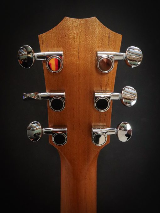 Taylor GS Mini-e Victorian Burst - Image 13