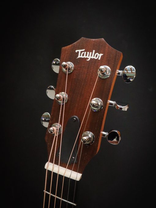 Taylor GS Mini-e Victorian Burst - Image 11