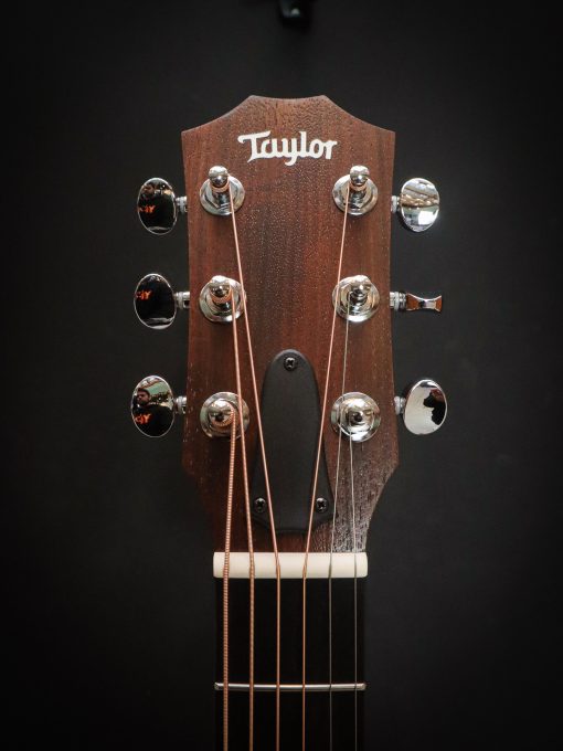 Taylor GS Mini-e Victorian Burst - Image 10