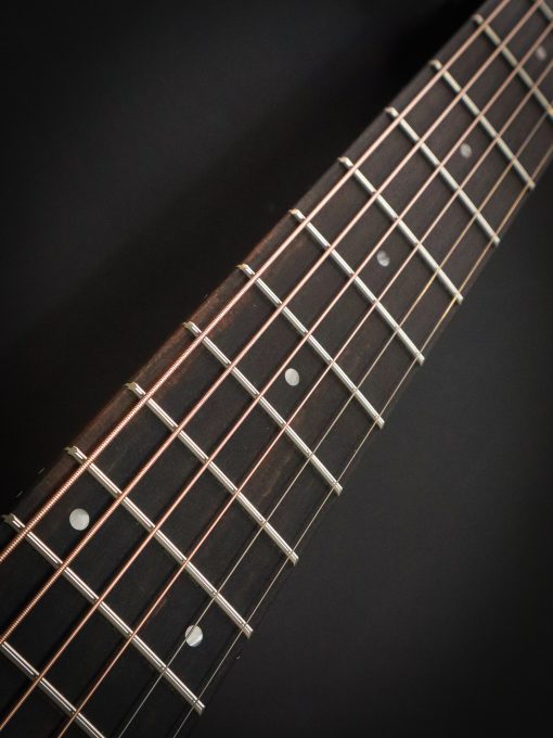 Taylor GS Mini-e Victorian Burst - Image 12