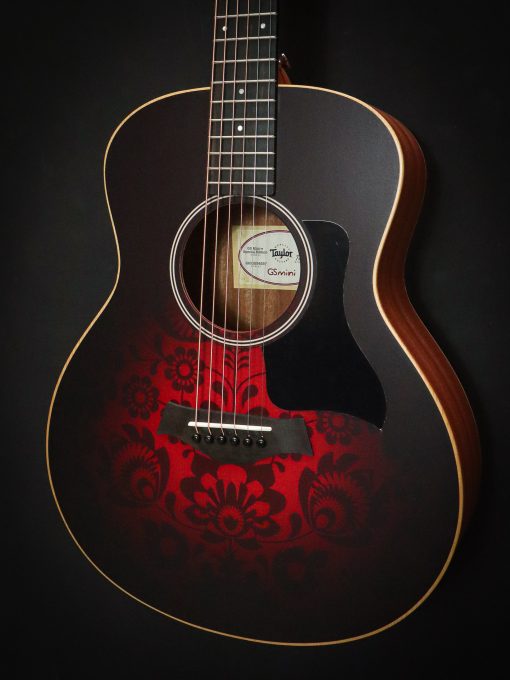 Taylor GS Mini-e Victorian Burst - Image 5