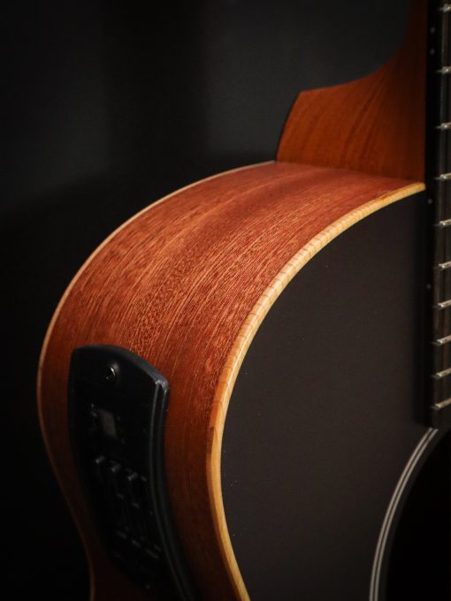 Taylor GS Mini-e Victorian Burst - Image 7