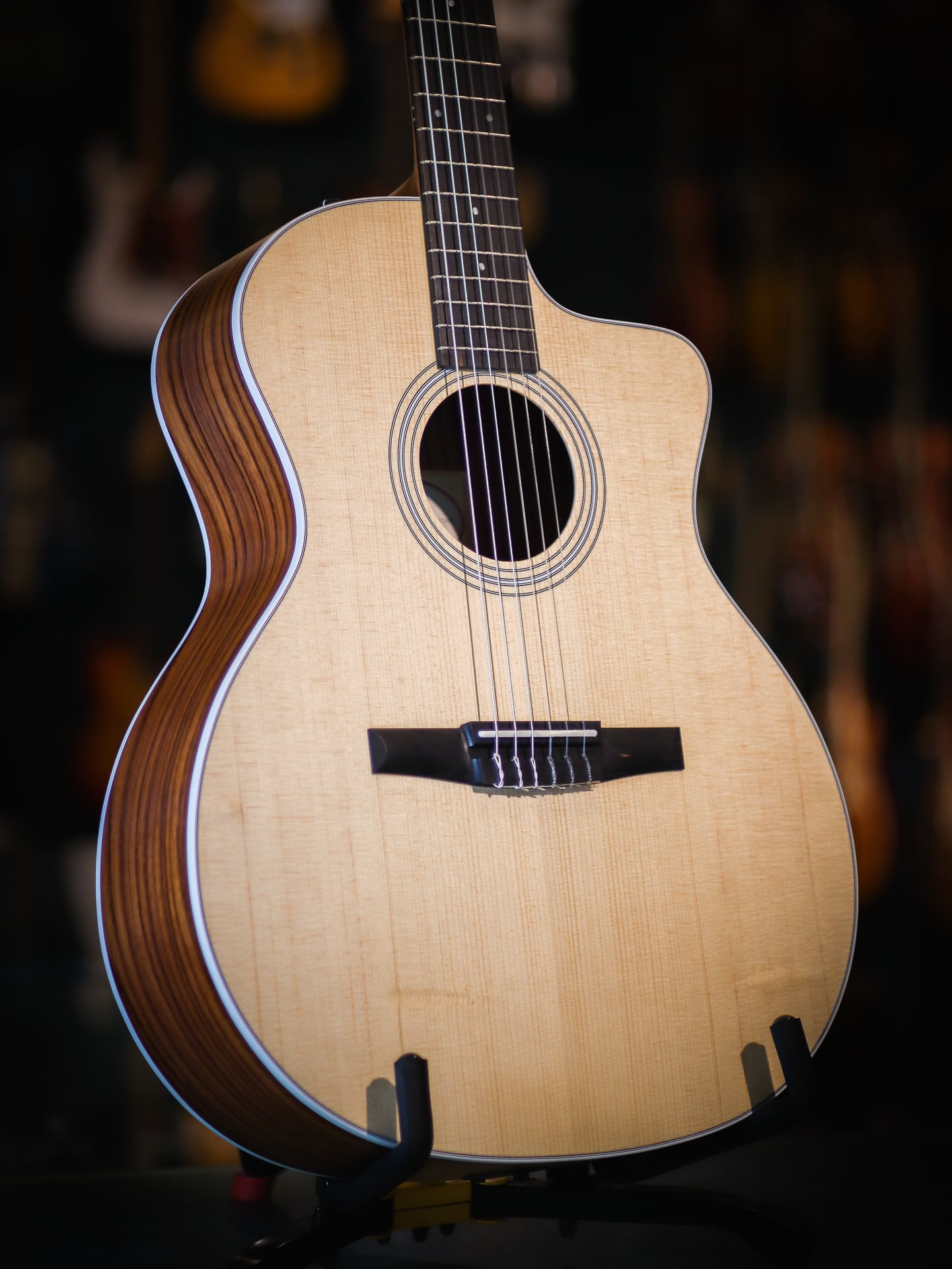 Taylor 214ceN Kauffmann's Guitar Store
