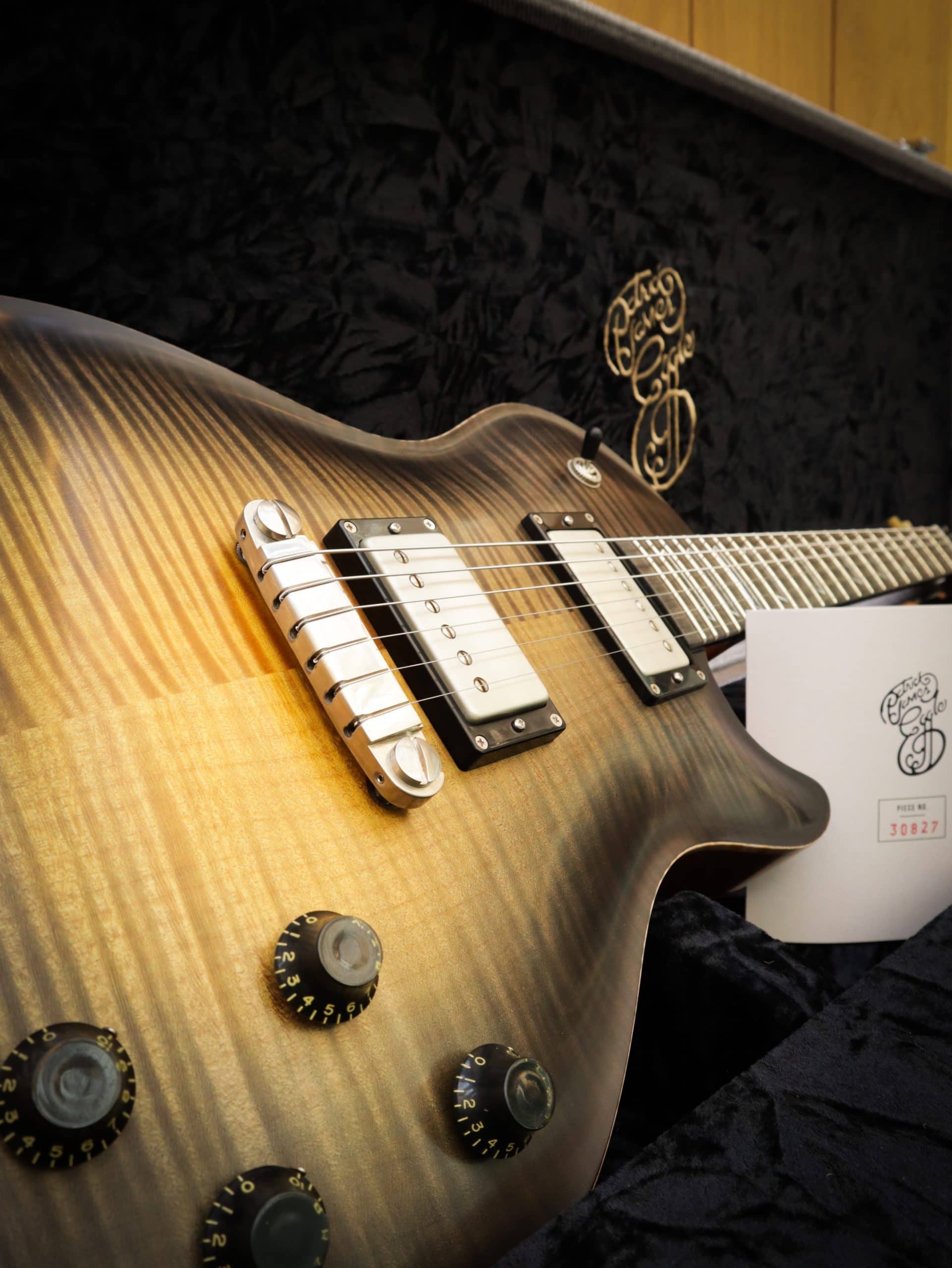 PATRICK JAMES EGGLE GUITARS - Kauffmann's Guitar Store