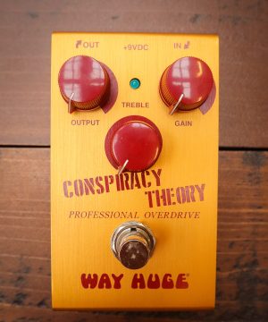 Way Huge Conspiracy Theory Mini *RESERVED*