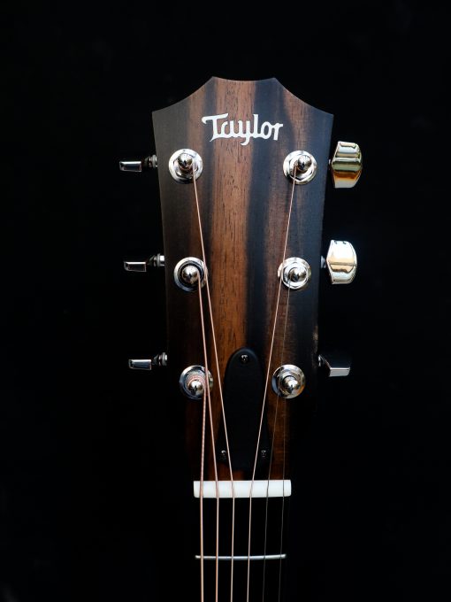 Taylor 214 CE - Image 11