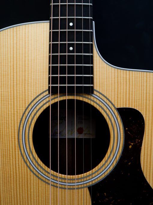Taylor 214 CE - Image 9