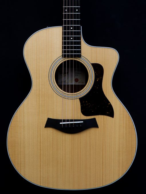 Taylor 214 CE - Image 3