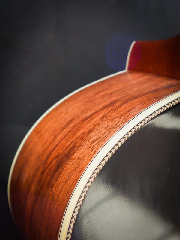 Eastman E22 SS/V-SB - Image 10