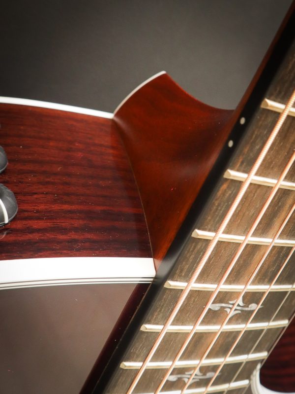 Taylor 414ce-R Tobacco Sunburst - Image 7