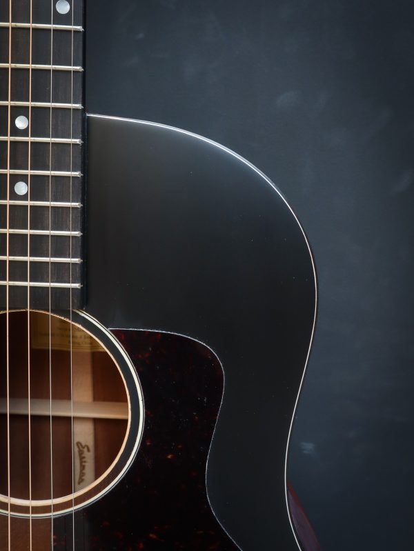 Eastman E1 SS-SB - Image 9