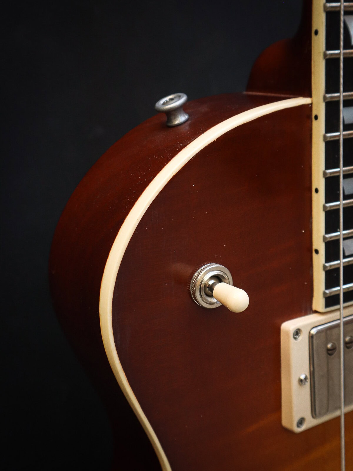 Eastman SB59/v Gold Burst - Image 5