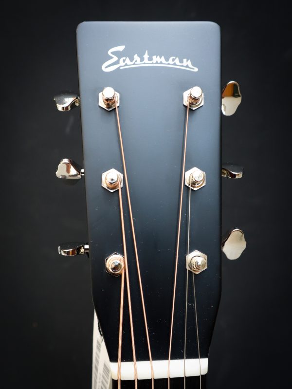 Eastman E10 OM - Image 8