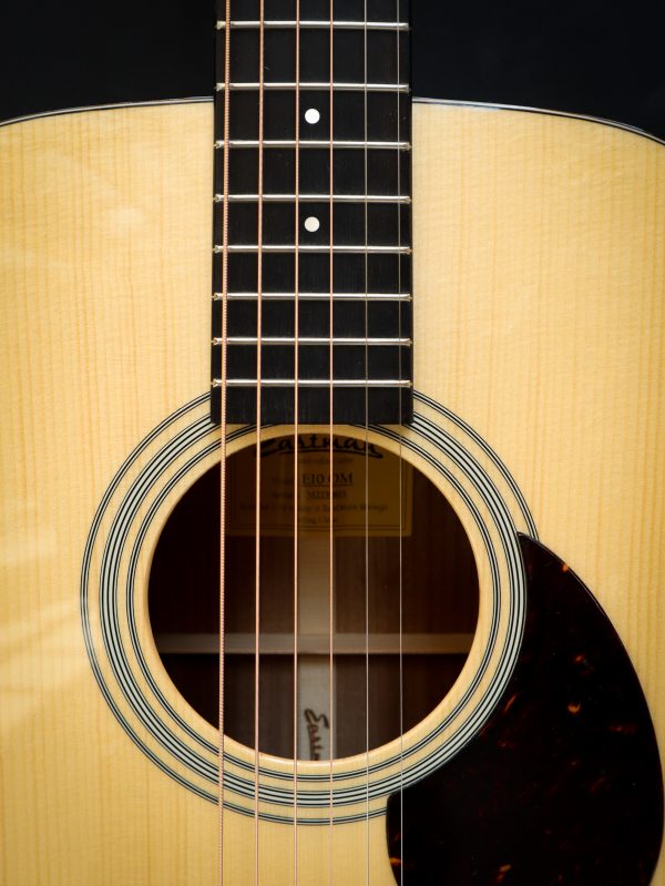 Eastman E10 OM - Image 13