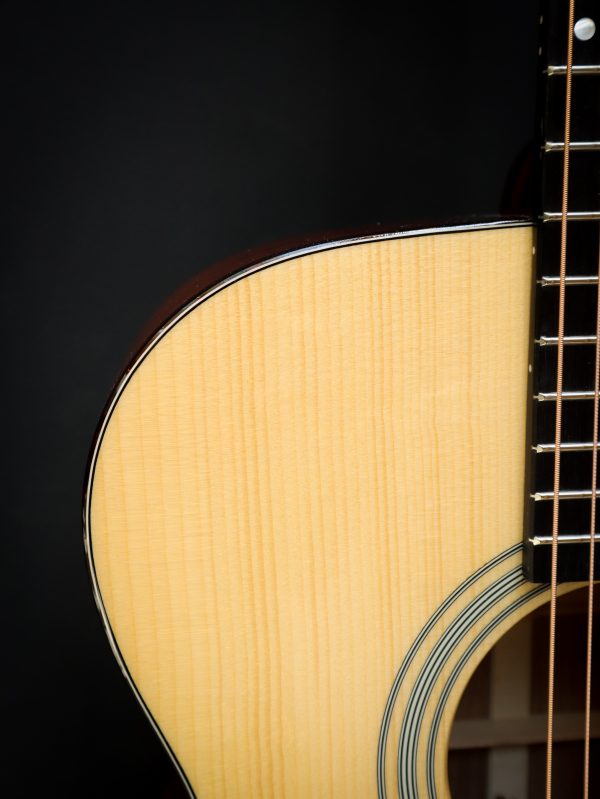 Eastman E10 OM - Image 15